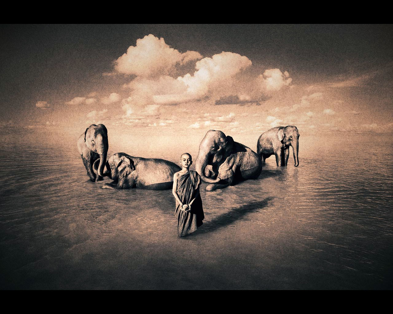 животные олицетворяющие людей. символы животных. древние тотемы животных. какое животное символизирует ум. животные олицетворяющие свободу.